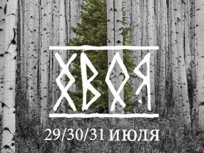 Фестиваль "Хвоя". Фото: vk.com/hvoyahvoyahvoya Фестиваль "Хвоя". Фото: vk.com/hvoyahvoyahvoya