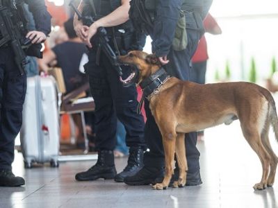 Аэропорт Таллина. Фото: err.ee Аэропорт Таллина. Фото: err.ee