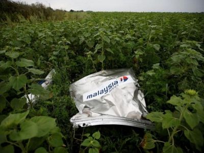Останки малазийского боинга. Фото: reuters.com Останки малазийского боинга. Фото: reuters.com