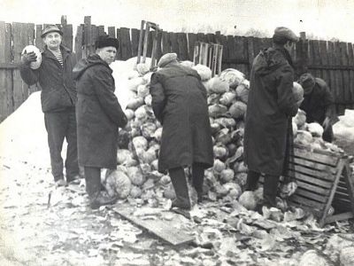 Сотрудники НИИ на овощебазе, 1980-е. Источник - fotointeres.ru Сотрудники НИИ на овощебазе, 1980-е. Источник - fotointeres.ru