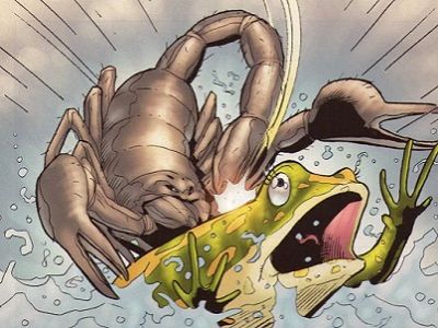 Лягушка и скорпион. Публикуется в ikhlov-e-v.livejournal.com Лягушка и скорпион. Публикуется в ikhlov-e-v.livejournal.com