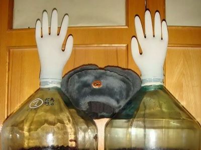 Голосование в России. Фото: drom.ru Голосование в России. Фото: drom.ru