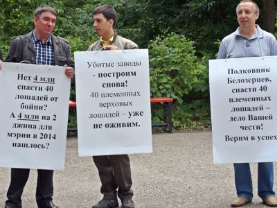 Пикет в защиту конезавода. Фото: Александр Воронин, Каспаров.Ru Пикет в защиту конезавода. Фото: Александр Воронин, Каспаров.Ru