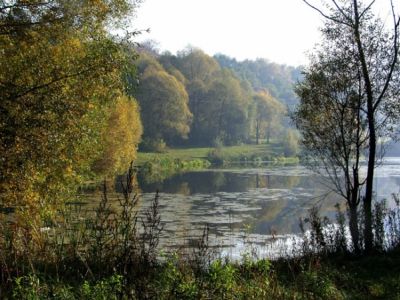 Лосиный остров в Москве. Фото: mos-holidays.ru Лосиный остров в Москве. Фото: mos-holidays.ru