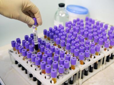 Биоматериалы Биоматериалы