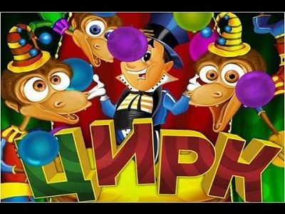 Цирк. Фото: "ВКонтакте" Цирк. Фото: "ВКонтакте"