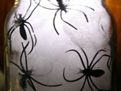Банка с пауками. Источник - masonjarcraftslove.com Банка с пауками. Источник - masonjarcraftslove.com