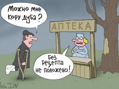 Кора дуба. С. Елкин для DW Кора дуба. С. Елкин для DW