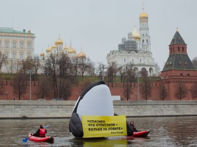 Акция в поддержку косаток и дельфинов. Фото: Greenpeace Акция в поддержку косаток и дельфинов. Фото: Greenpeace