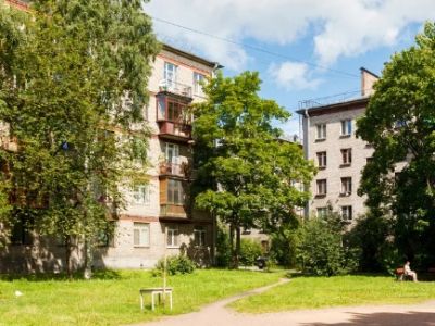 Деревья в городе. Фото: zen.yandex.ru/media Деревья в городе. Фото: zen.yandex.ru/media