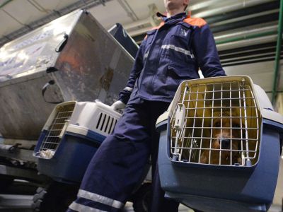 Фото: Анатолий Жданов / Коммерсант Фото: Анатолий Жданов / Коммерсант