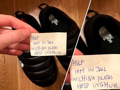 телеграм-канал 1703 телеграм-канал 1703