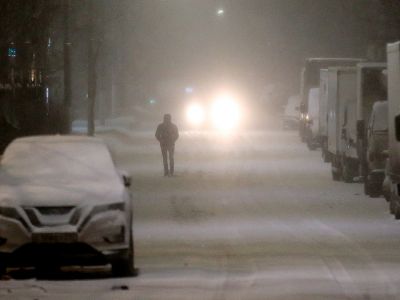 Фото: Дмитрий Голубович / Global Look Press