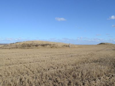 Могильник "Красногорский-1" Фото:kartarf.ru Могильник "Красногорский-1" Фото:kartarf.ru