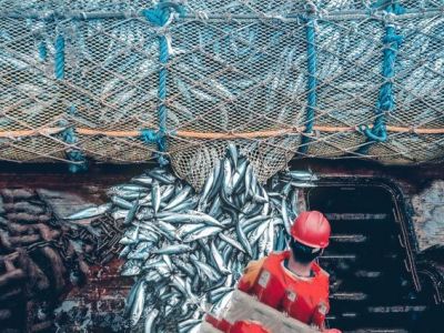 Фото: Shutterstock.com Фото: Shutterstock.com