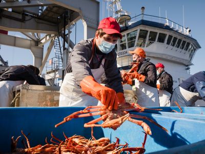 Фото: magazine.fish Фото: magazine.fish