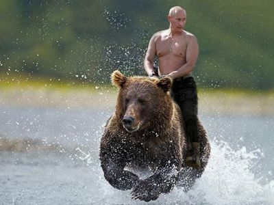 Путин на медведе. Коллаж: РБК-Украина Путин на медведе. Коллаж: РБК-Украина