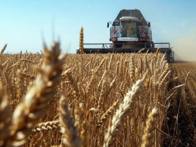 Фото: Валерий Матыцин / ТАСС Фото: Валерий Матыцин / ТАСС