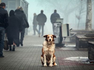 Фото: IVANOVO-FM.RU Фото: IVANOVO-FM.RU