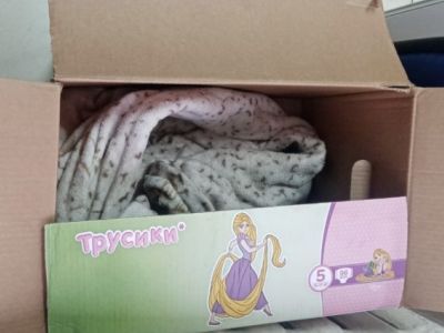 Уличная колыбель для новорождененых. Фото: Сергей Горчаков, Каспаров.Ru Уличная колыбель для новорождененых. Фото: Сергей Горчаков, Каспаров.Ru