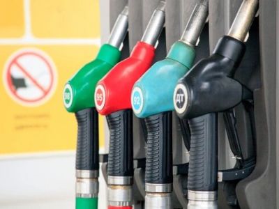 Фото: Михаил Маршалик / Shutterstock Фото: Михаил Маршалик / Shutterstock