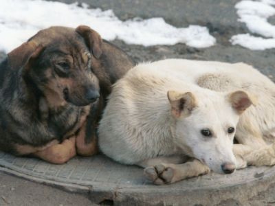 Фото: Валерия Христофорова / ТАСС Фото: Валерия Христофорова / ТАСС