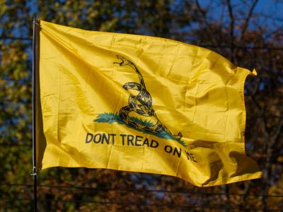 "Не наступай на меня!" Либертарианский (Гадсденовский) флаг. Фото: asket.in.ua/ "Не наступай на меня!" Либертарианский (Гадсденовский) флаг. Фото: asket.in.ua/