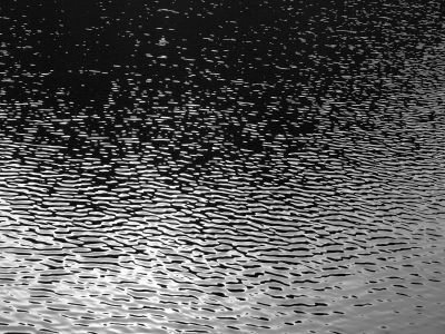 Зыбь на Лифьорде в Норвегии. Автор: https://commons.wikimedia.org/wiki/User:Blue_Elf Зыбь на Лифьорде в Норвегии. Автор: https://commons.wikimedia.org/wiki/User:Blue_Elf