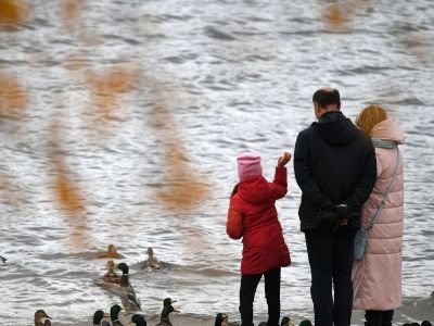 Люди кормят уток в парке "Северное Тушино" в Москве. Фото: Максим Блинов / РИА Новости